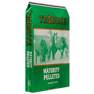 Tribute Equine Nutrition Maturity Pelleted
