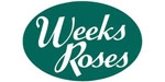 Weeks Roses