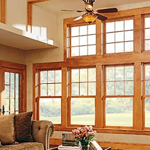 Marvin Ultimate Double Hung Windows