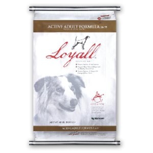 Loyall™ Active Adult 26/19