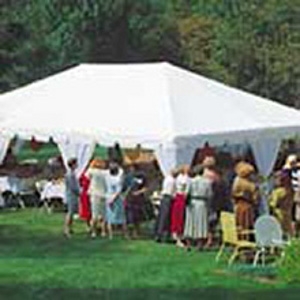 Frame Canopy Tent