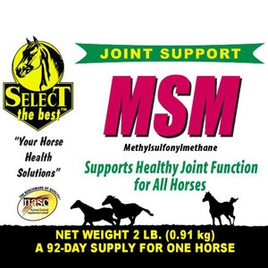 Select The Best MSM 100% Joint Support