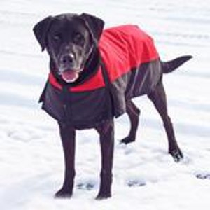 Ozark Mountain Dog Blankets