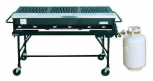 2' x 4' Propane Grill