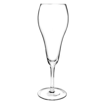 Tulip Champagne Glass
