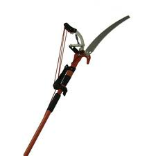 Pole Pruner 10'