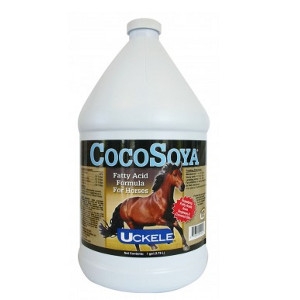 CocoSoya