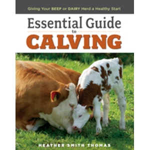 Essential Guide to Calving: Giving your Beef or Dairy Herd a Healthy Start