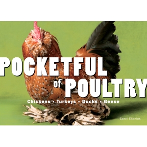 Pocketful of Poultry: Chickens, Turkeys, Ducks & Geese