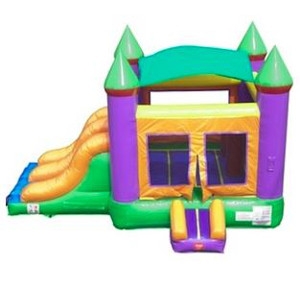 Inflatable Castle Combo Bounce House