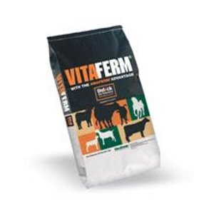 VitaFerm