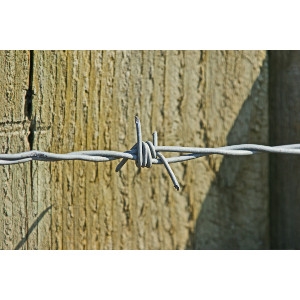 Barb Wire 4 Point