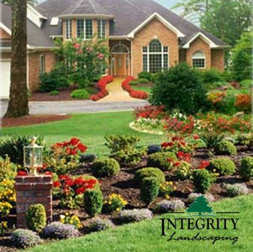 Shrubs & Annual Bed for Curb Appeal