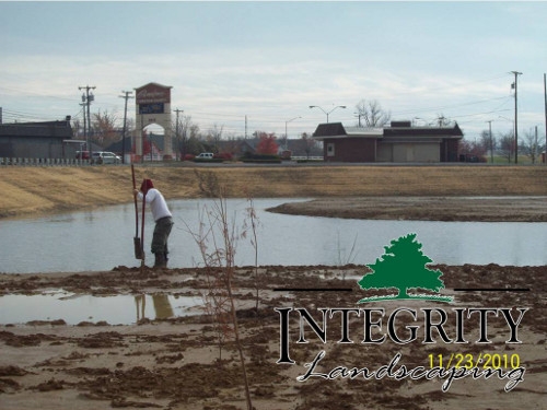 Wetland Restoration