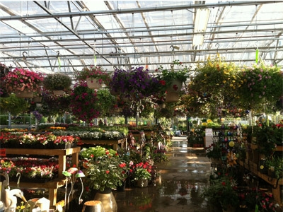 Binghamton Agway's Indoor Greenhouse 2013