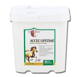 VitaFlex® Accel® Lifetime Health and Wellness Formula