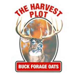 Buck Forage Feed Plot Seed