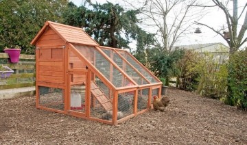 Chicken Coop Plans: Creating a Delightful Chicken Home