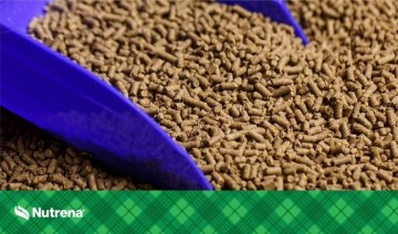 Starches and Sugars in Horse Feeds