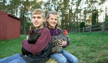 How to Choose the Right Chicken for Your Family