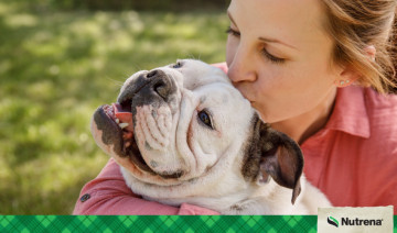 The Top 5 Benefits of Having A Pet