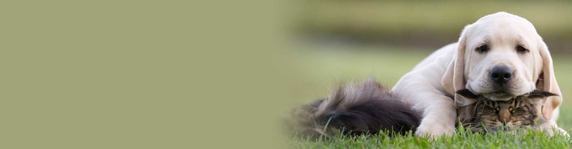 Potsdam Agway Offering Dependable, High Quality Products Potsdam