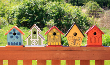 Choosing a Birdhouse