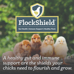 Nutrena® NatureWise® Medicated Chick Starter Grower Feed