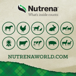 Nutrena® ProForce® Senior Horse Feed