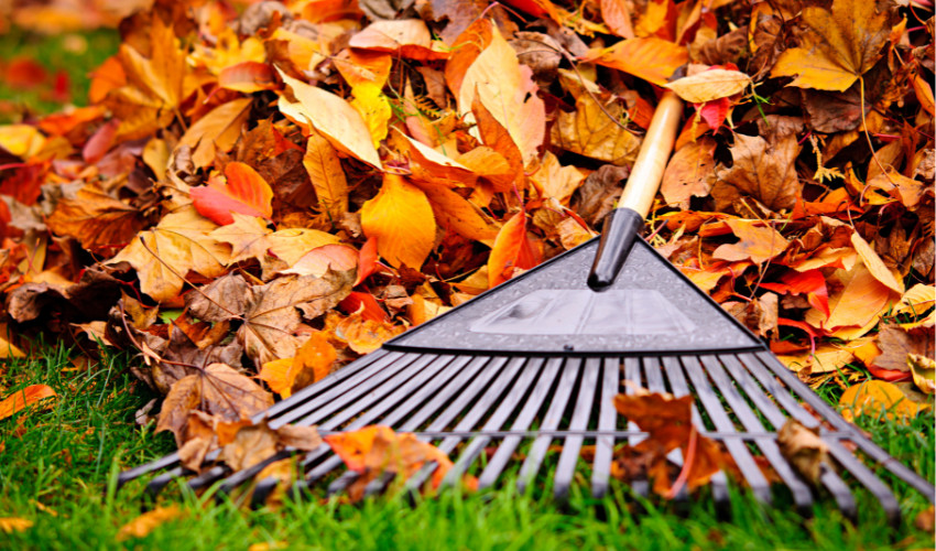 Leaf It to Us Best Rental Equipment for Your Fall Renovations Grand