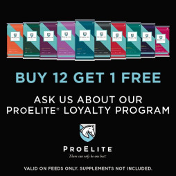 Buy 12, Get 1 Free ProElite® Horse Feeds