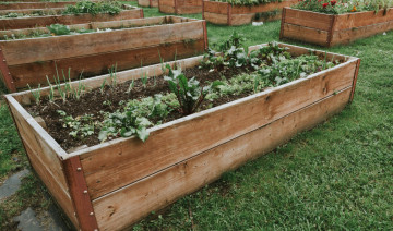 Kick Off Summer Projects: 5 Outdoor Builds to Start in May