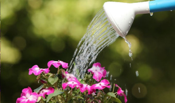 Keep Your Garden Hydrated: Mulches & Irrigation Solutions