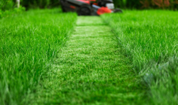 How to Prep Your Lawn for Overseeding This Fall