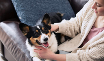 Dog Food for Healthy Digestion