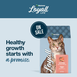 Save on Loyall Life® Cat & Kitten Food!