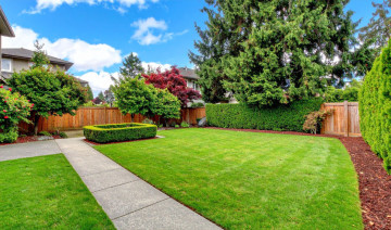 From Lawn Care to Bloom Care: Your All-in-One May Garden Checklist