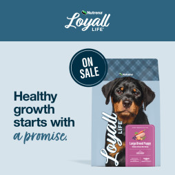 Save on Loyall Life® and Nutrena® True Puppy Foods