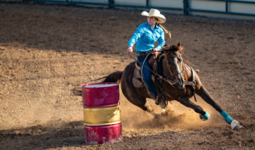 Performance Horses and Muscle Recovery