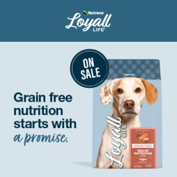 Save now on Loyall Life Grain Recipes!