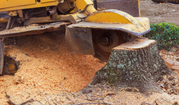 Five Late-Summer Projects That Are Faster with Rental Equipment