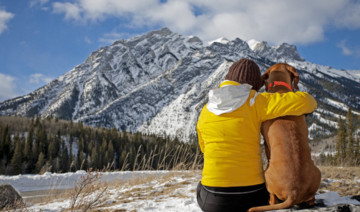 Traveling or Vacationing with Pets