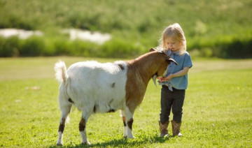A Guide to Complete Textured Feeds and Confident Goat Nutrition