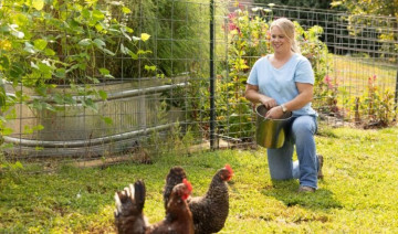 Healthy Guts, Healthy Birds: Why Poultry Gut Health Matters