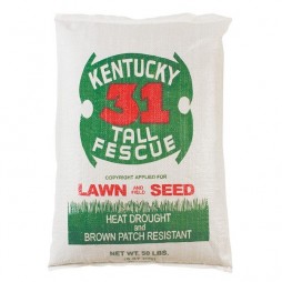 SOUTHERN STATES KENTUCKY 31 TALL FESCUE 50 LB