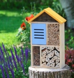 Nature's Way Insect Houses
