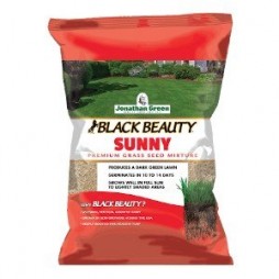 Black Beauty® Sunny Grass Seed