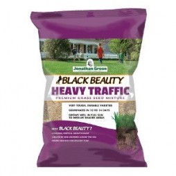 Black Beauty® Heavy Traffic Grass Seed