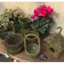 Supermoss Moss Planters