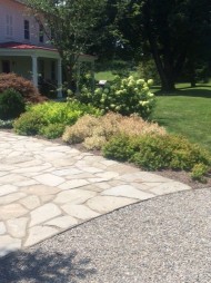 Irregular flagstone entry walk with dwarf flowering shrub border